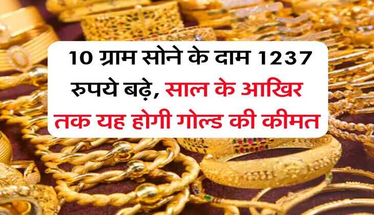 Gold Rate Hike : 10 ग्राम सोने के दाम 1237 रुपये बढ़े, साल के आखिर तक यह होगी गोल्ड की कीमत &nbsp;