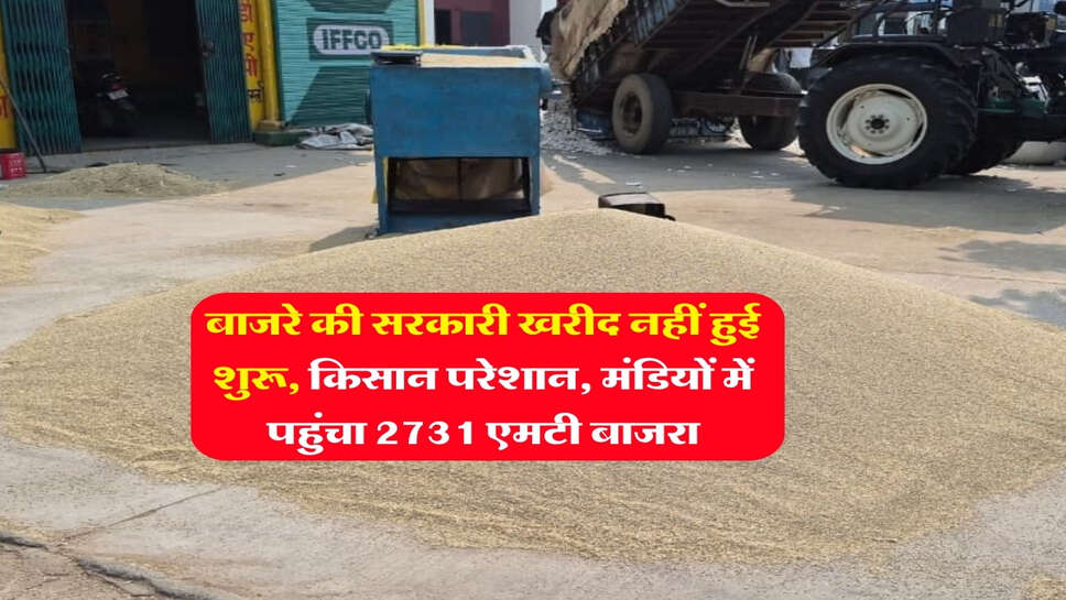 बाजरा मंडी भाव : बाजरे की सरकारी खरीद नहीं हुई शुरू, किसान परेशान, मंडियों में पहुंचा 2731 एमटी बाजरा