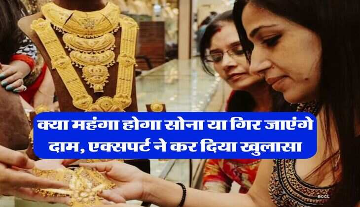 Gold Price : क्या महंगा होगा सोना या गिर जाएंगे दाम, एक्सपर्ट ने कर दिया खुलासा&nbsp;