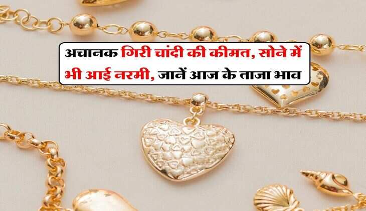 MCX Gold Silver Rate : अचानक गिरी चांदी की कीमत, सोने में भी आई नरमी, जानें आज के ताजा भाव