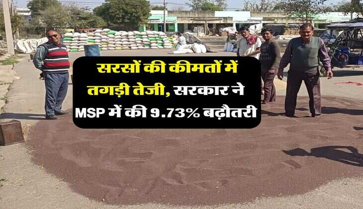 Sarso Rate : सरसों की कीमतों में तगड़ी तेजी, सरकार ने MSP में की 9.73% बढ़ौतरी