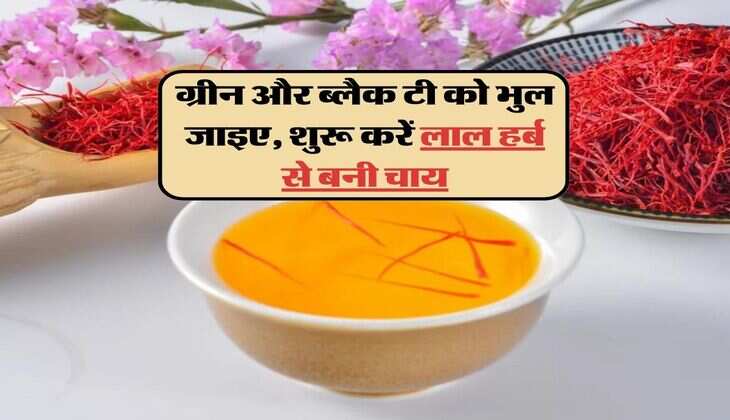 Kesar ki chai : ग्रीन और ब्लैक टी को भुल जाइए, शुरू करें स्वाद और सेहत के खजाने से भरी लाल हर्ब से बनी चाय