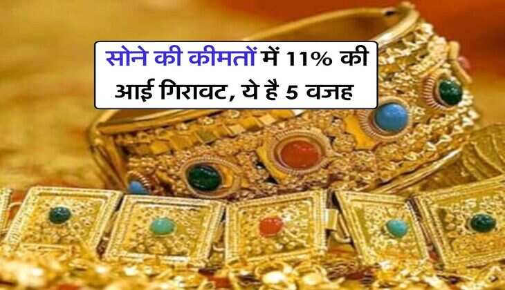 Gold Silver rate : सोने की कीमतों में 11% की आई गिरावट, ये है 5 वजह