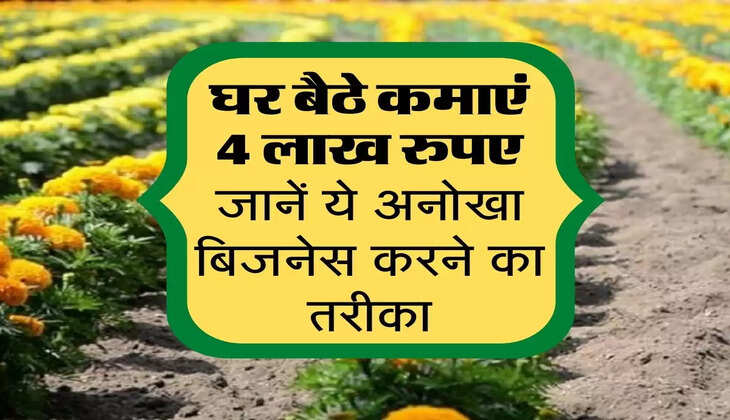 Business Idea : घर बैठे कमाएं 4 लाख रुपए, जानें इस अनोखे बिजनेस का तरीका