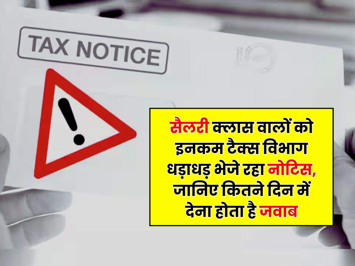 Income Tax Notice : सैलरी क्लास वालों को इनकम टैक्स विभाग धड़ाधड़ भेजे रहा नोटिस, जानिए कितने दिन में देना होता है जवाब