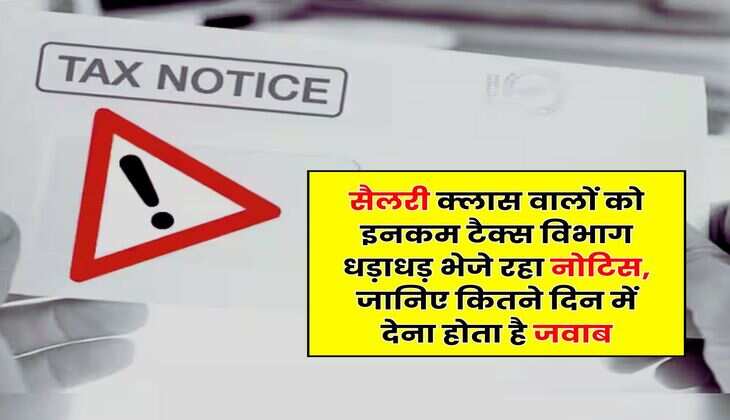 Income Tax Notice : सैलरी क्लास वालों को इनकम टैक्स विभाग धड़ाधड़ भेजे रहा नोटिस, जानिए कितने दिन में देना होता है जवाब