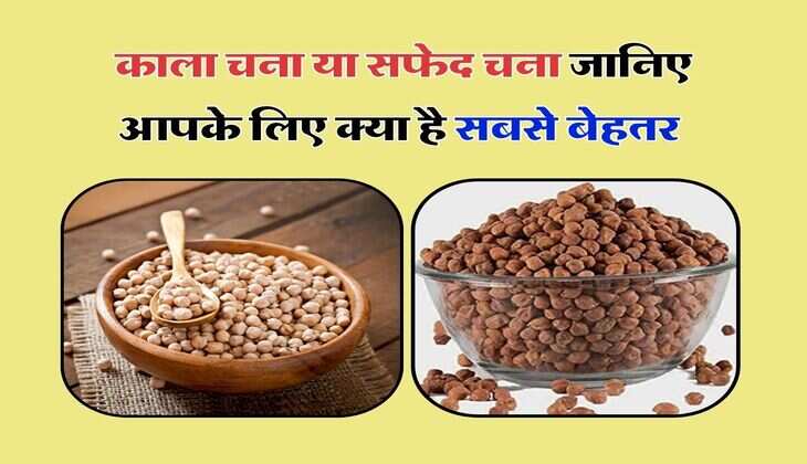 काला चना या सफेद चना जानिए आपके लिए क्या है सबसे बेहतर, हेल्थ पर पडते हैं ये असर
