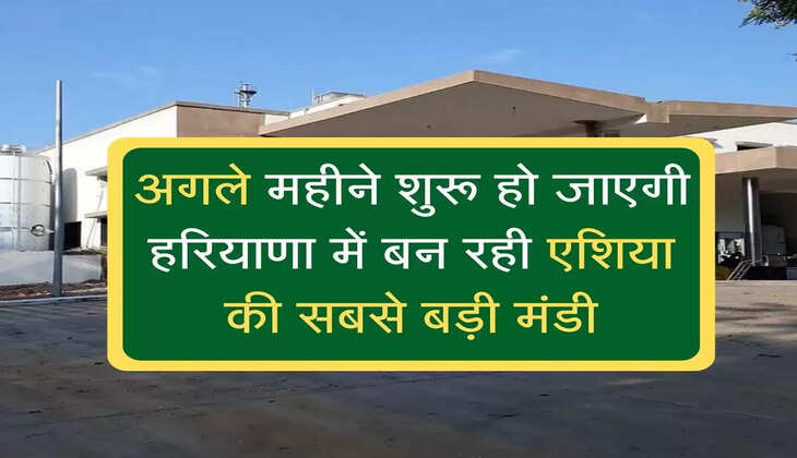 Haryana's biggest fruit and vegetable market started : अगले महीने शुरू हो जाएगी हरियाणा में बन रही एशिया की सबसे बड़ी मंडी 