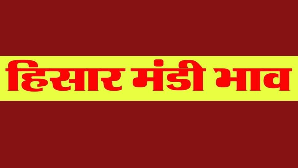  हिसार मंडी भाव 28 अक्टूबर 2026 : धान तेज,&nbsp;नरमा, कपास का रेट स्थिर,&nbsp;सरसों में तेजी, गेहूं, ग्वार का रेट रूका