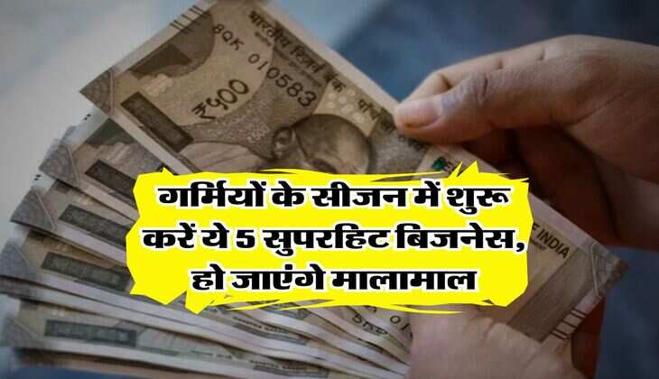 Business Ideas : गर्मियों के सीजन में शुरू करें ये 5 सुपरहिट बिजनेस, हो जाएंगे मालामाल