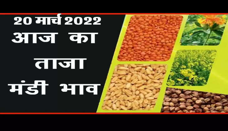 Aaj ka mandi bhav Grain market price of 20 March 2022