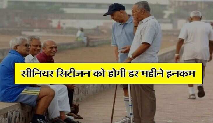 Investment Tips: सीनियर सिटीजन को होगी हर महीने इनकम, ये विकल्प आएंगे काम