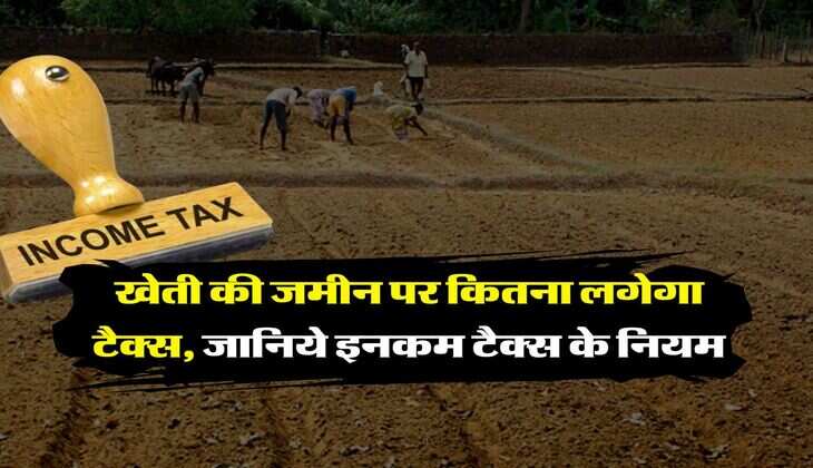 Income Tax Rules : खेती की जमीन पर कितना लगेगा टैक्स, जानिये इनकम टैक्स के नियम