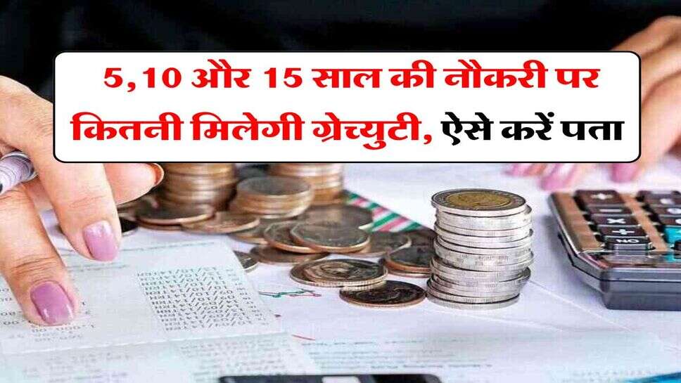 Gratuity Rules : 5,10 और 15 साल की नौकरी पर कितनी मिलेगी ग्रेच्युटी, ऐसे करें पता