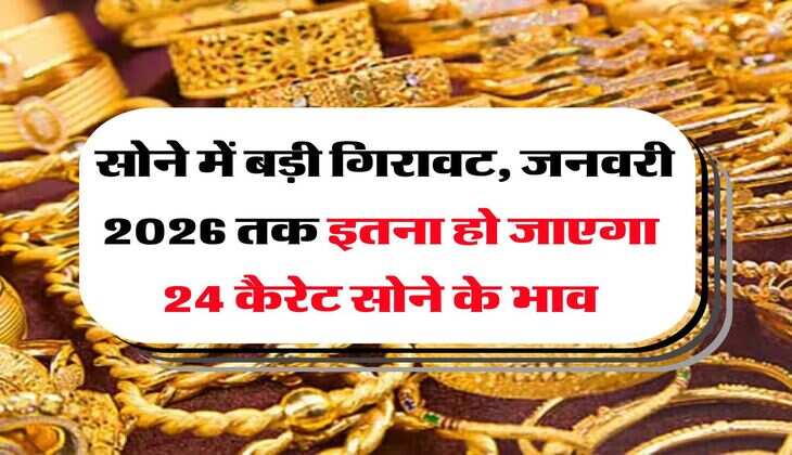 Gold Price : सोने में बड़ी गिरावट, जनवरी 2026 तक इतना हो जाएगा 24 कैरेट सोने के भाव