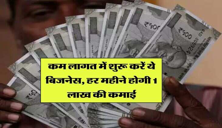 business idea : कम लागत में शुरू करें ये बिजनेस, हर महीने होगी 1 लाख की कमाई 