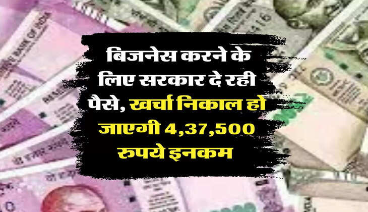 Business Idea: बिजनेस करने के लिए सरकार दे रही पैसे, खर्चा निकाल हो जाएगी 4,37,500 रुपये इनकम 