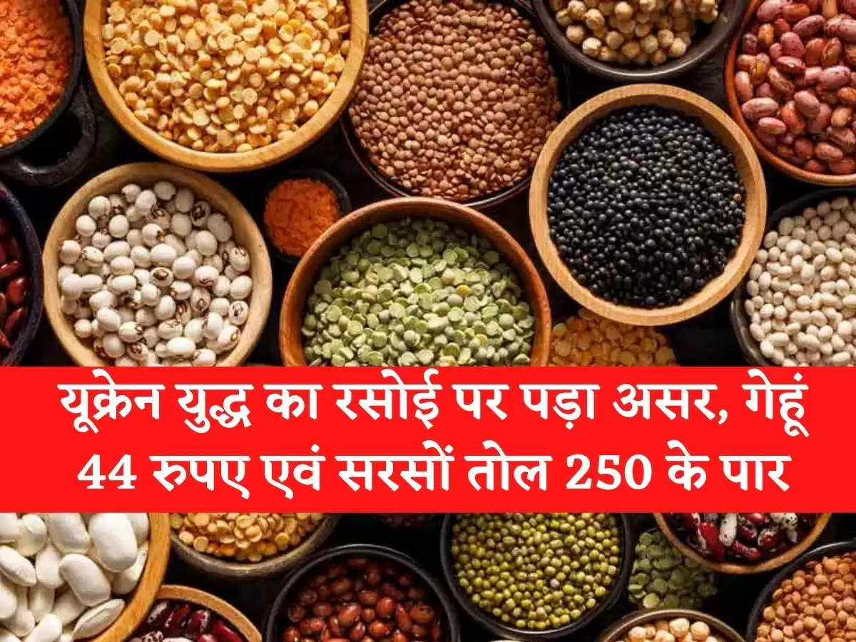 Price Hike यूक्रेन युद्ध का रसोई पर पड़ा असर, गेहूं 44 रुपए एवं सरसों तोल 250 के पार