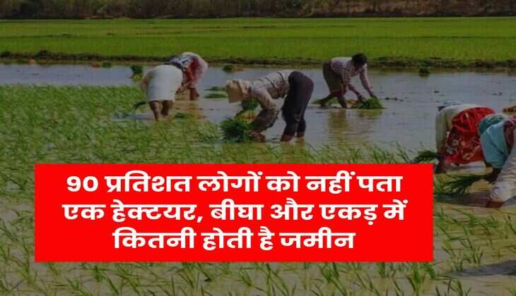 Property Knowledge: 90 प्रतिशत लोगों को नहीं पता एक हेक्टयर, बीघा और एकड़ में कितनी होती है जमीन
