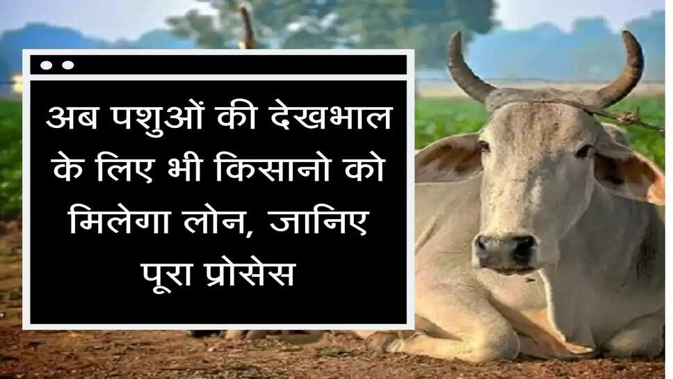 Kisan Pashu Loan अब पशुओं की देखभाल के लिए भी किसानो को मिलेगा लोन, जानिए पूरा प्रोसेस