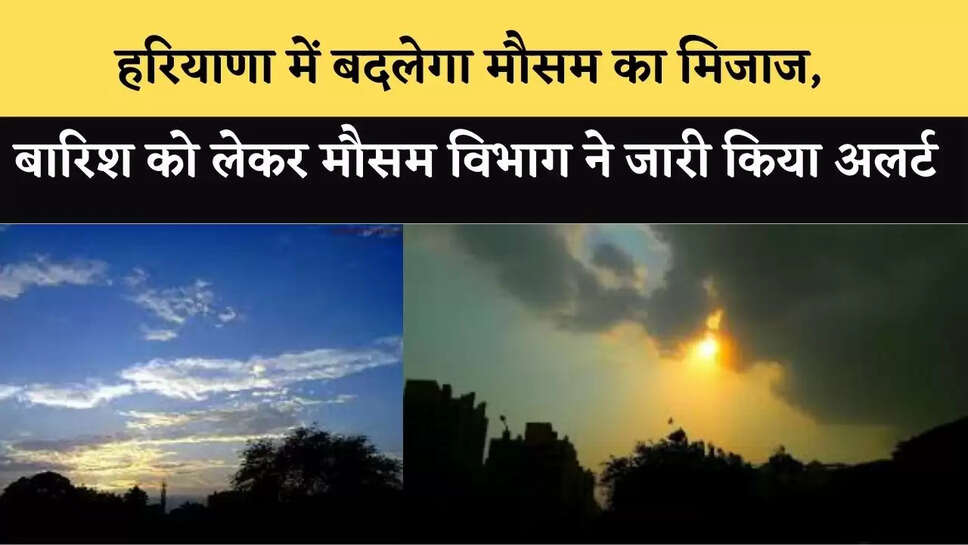 haryana news