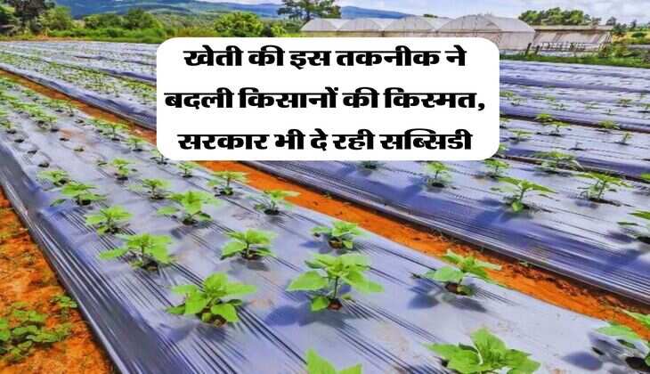 Agriculture News : खेती की इस तकनीक ने बदली किसानों की किस्मत, सरकार भी दे रही सब्सिडी