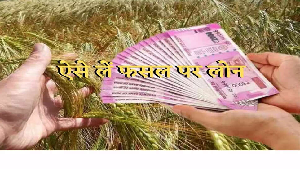 Crop Loan : अब किसानों को फसल पर भी मिलेगा लोन, जल्दी चेक करें डिटेल