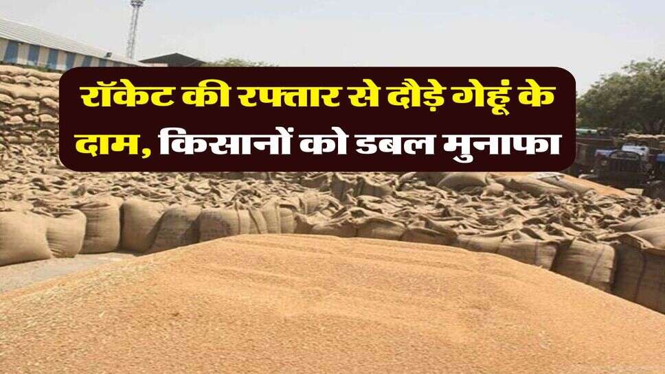 Wheat Rate Hike : रॉकेट की रफ्तार से दौड़े गेहूं के दाम, किसानों को डबल मुनाफा