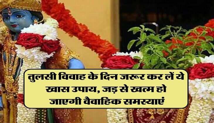 Tulsi Vivah 2023: तुलसी विवाह के दिन जरूर कर लें ये खास उपाय, जड़ से खत्म हो जाएगी वैवाहिक समस्याएं