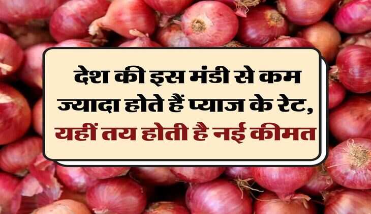 Pyaj ka Rate: देश की इस मंडी से कम ज्यादा होते हैं प्याज के रेट, यहीं तय होती है नई कीमत