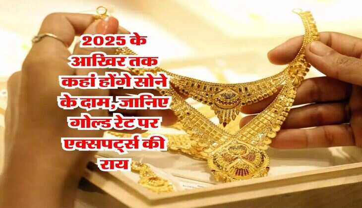 Gold Price Hike : 2025 के आखिर तक कहां होंगे सोने के दाम, जानिए गोल्ड रेट पर एक्सपर्ट्स की राय
