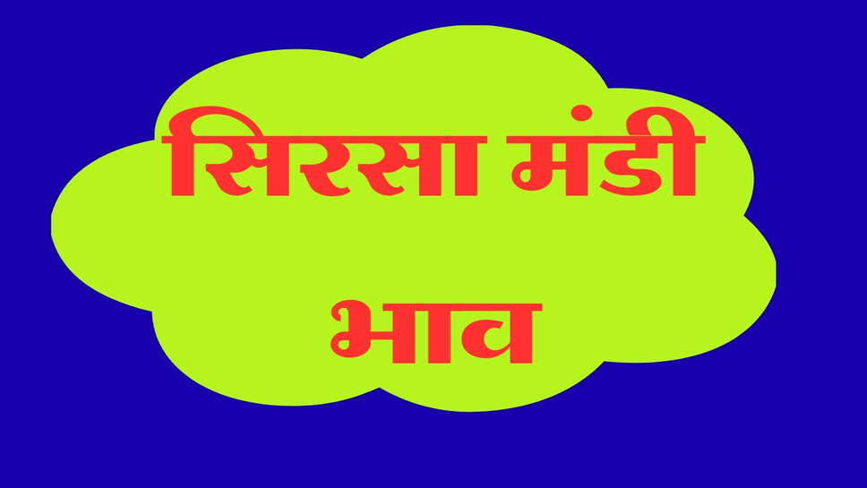 सिरसा मंडी भाव 18 अक्टूबर 2026: नरमा 9331 और धान 1509 के ताजा रेट