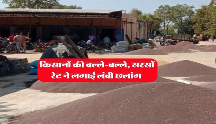 Sarso Rate : किसानों की बल्ले-बल्ले, सरसों रेट ने लगाई लंबी छलांग