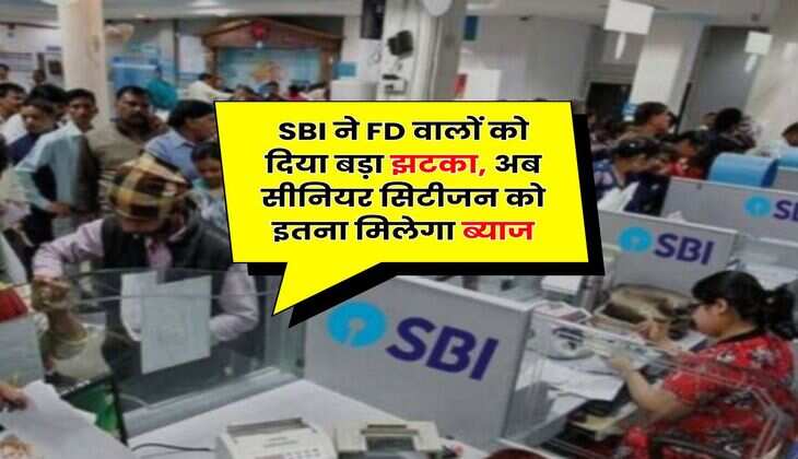 SBI ने FD वालों को दिया बड़ा झटका, अब सीनियर सिटीजन को इतना मिलेगा ब्याज