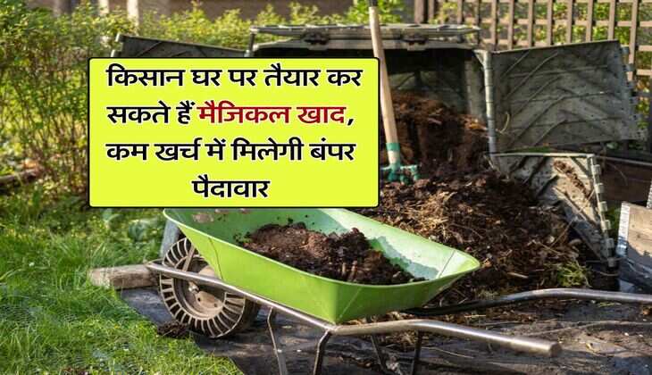  Agriculture : किसान घर पर तैयार कर सकते हैं मैजिकल खाद, कम खर्च में मिलेगी बंपर पैदावार