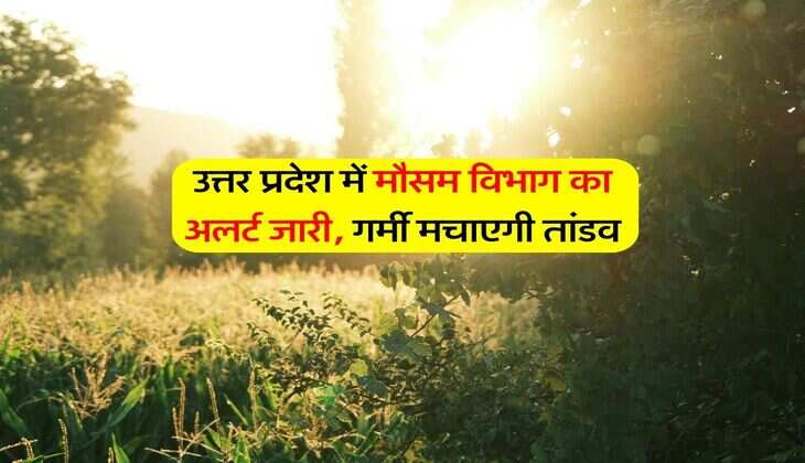 Summer in UP : उत्तर प्रदेश में मौसम विभाग का अलर्ट जारी, गर्मी मचाएगी तांडव