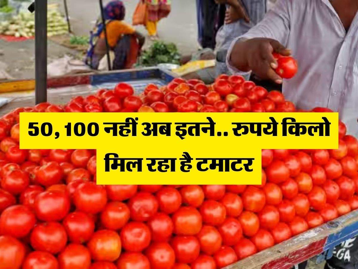 Tamato Rate : 50, 100 नहीं अब इतने... रुपये किलो मिल रहा है टमाटर