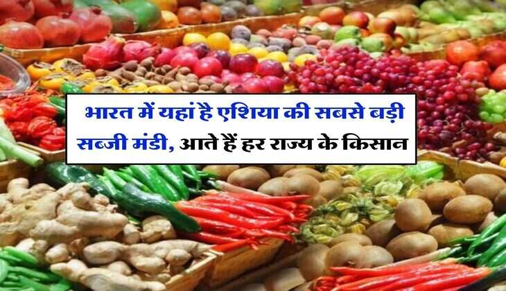 Biggest Vegetable Market : भारत में यहां है एशिया की सबसे बड़ी सब्जी मंडी, आते हैं हर राज्य के किसान, 90 एकड़ में किया गया है डेलवेप
