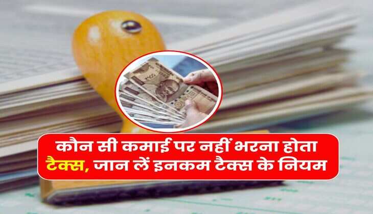 Income Tax Rule 2025 : कौन सी कमाई पर नहीं भरना होता टैक्स, जान लें इनकम टैक्स के नियम