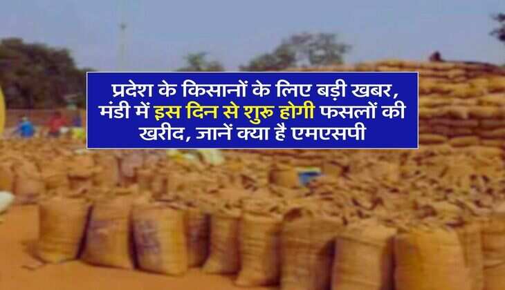 Haryana News : प्रदेश के किसानों के लिए बड़ी खबर, मंडी में इस दिन से शुरू होगी फसलों की खरीद, जानें क्या है एमएसपी