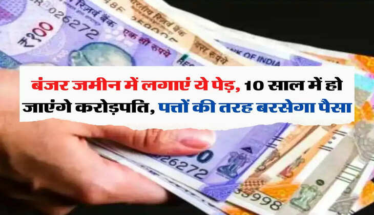 Business Idea: बंजर जमीन में लगाएं ये पेड़, 10 साल में हो जाएंगे करोड़पति, पत्तों की तरह बरसेगा पैसा