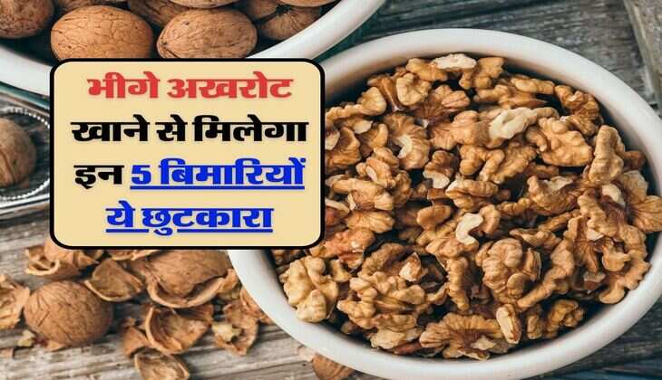 Soaked Walnuts : भीगे अखरोट खाने से मिलेगा इन 5 बिमारियों ये छुटकारा, एक्सपर्ट ने बताए हैरान कर देने वाले लाभ