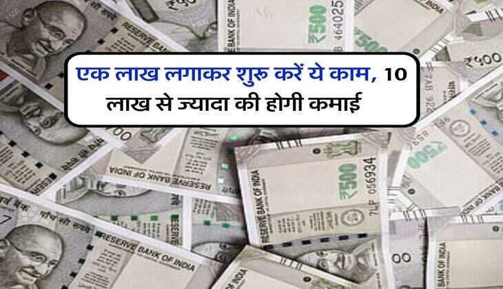 Business Ideas : एक लाख लगाकर शुरू करें ये काम, 10 लाख से ज्यादा की होगी कमाई, लोग खूब कमा रहे पैसा