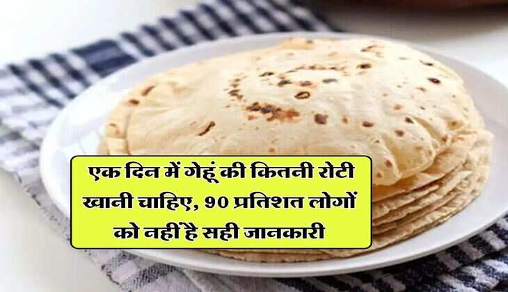 Roti : एक दिन में गेहूं की कितनी रोटी खानी चाहिए, 90 प्रतिशत लोगों को नहीं है सही जानकारी