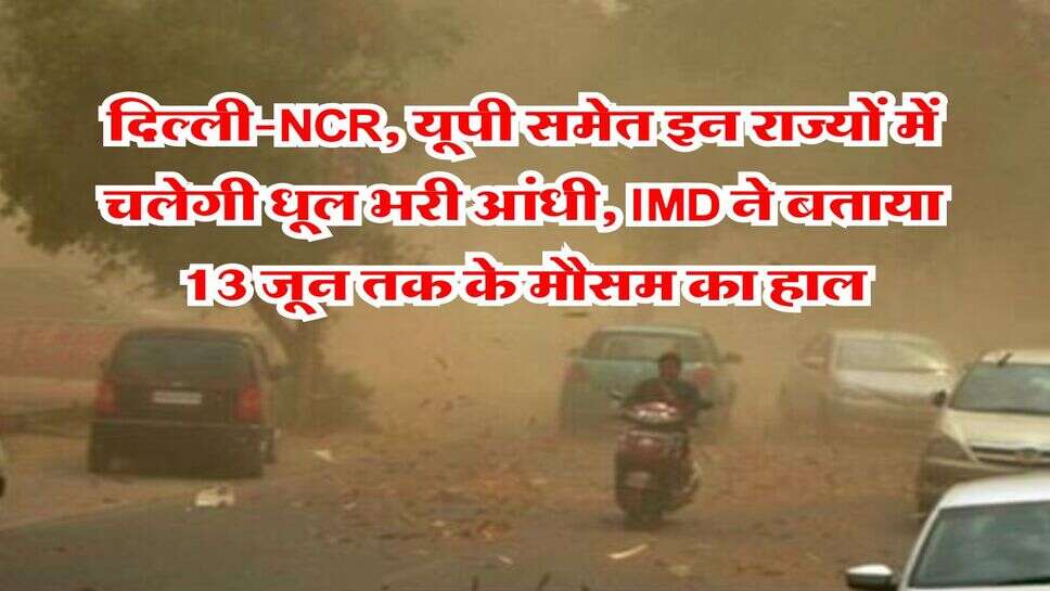 Weather Update : दिल्ली-NCR, यूपी समेत इन राज्यों में चलेगी धूल भरी आंधी, IMD ने बताया 13 जून तक के मौसम का हाल