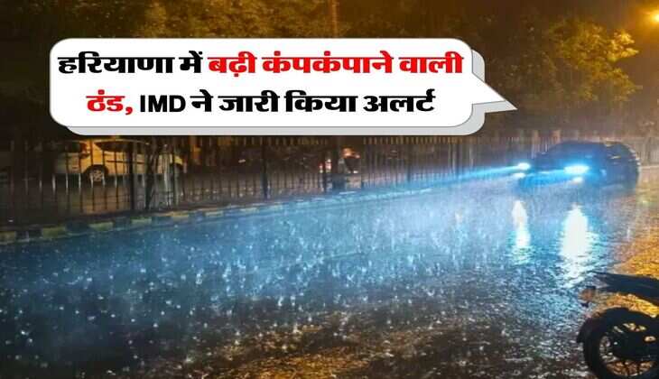 Haryana Weather: हरियाणा में बढ़ी कंपकंपाने वाली ठंड, IMD ने जारी किया अलर्ट
