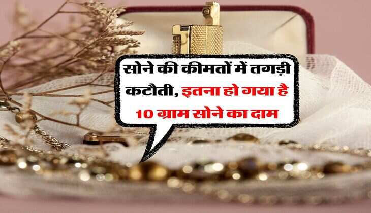 Gold Price : सोने की कीमतों में तगड़ी कटौती, इतना हो गया है 10 ग्राम सोने का दाम