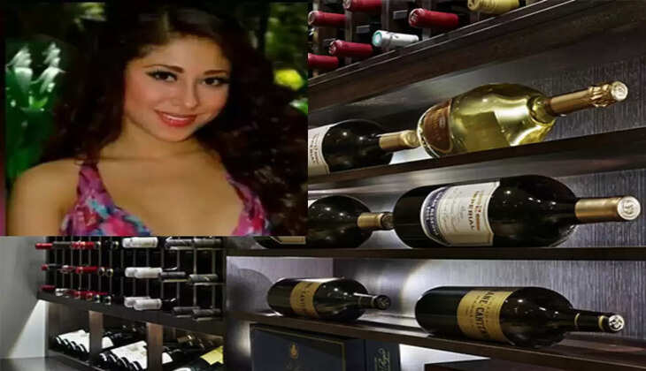 मॉडल ने रेस्टोरेंट से चुराई&nbsp;20 करोड़ की शराब, चार देशों की पुलिस ने किया ऐसे काबू