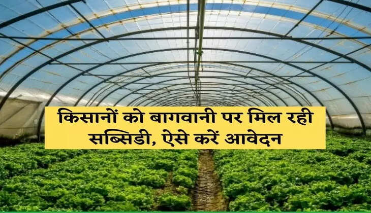 किसानों को बागवानी पर मिल रही सब्सिडी, ऐसे करें आवेदन