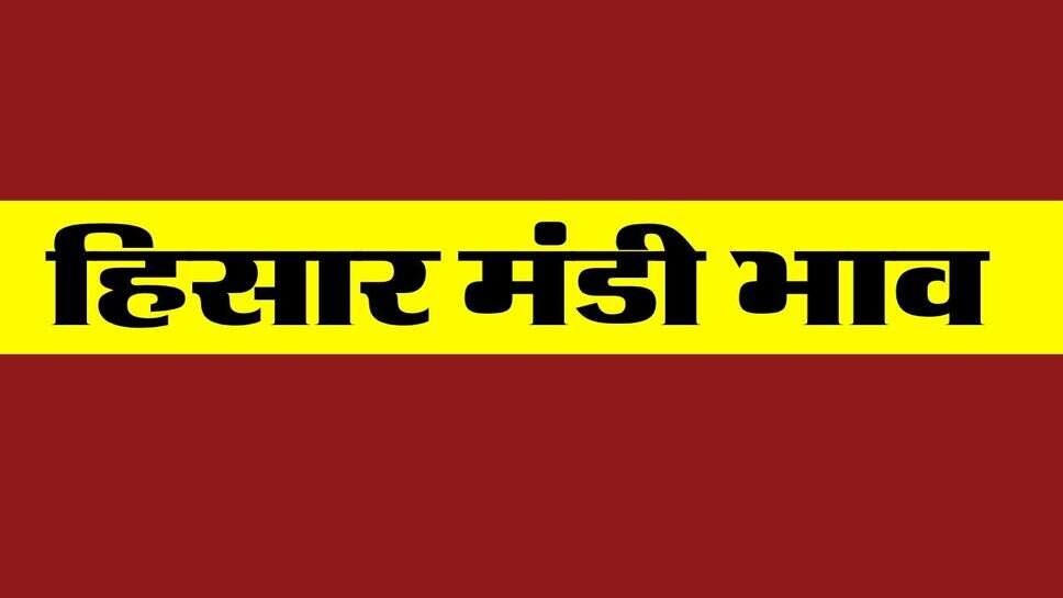 हिसार मंडी भाव 26 अक्टूबर 2026 : धान, नरमा, कपास, सरसों में तेजी, गेहूं, ग्वार का भाव स्थिर